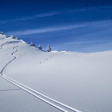 Berghotel Hahnenmoos Adelboden Kültér fotó